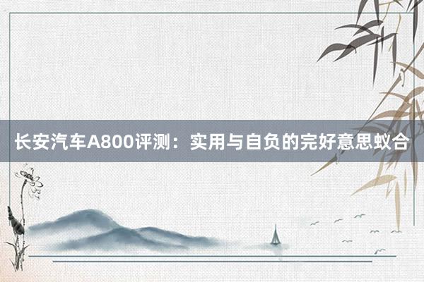 长安汽车A800评测：实用与自负的完好意思蚁合